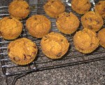 Pecan Pumpkin Chocolate Chip Muffins- Ready to Enjoy!